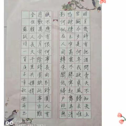 湛江经开区第十三小学首届师生书画作品集
