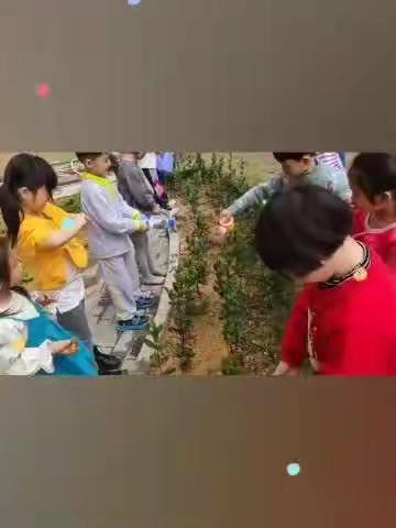 春已至，花已开[玫瑰]又是一年的植树节，和宝贝们一起，感受自然的美[爱心]