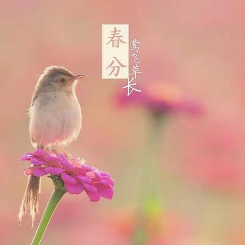 砚里家园幼儿园小一班春分主题活动