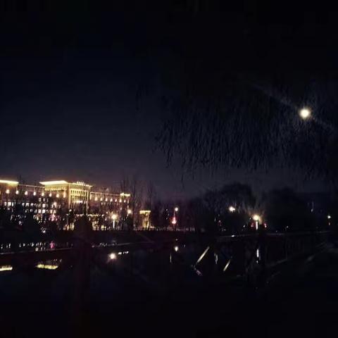 难忘的夜晚