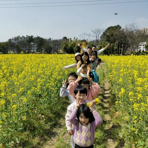 阳春三月黄花里，与你共享好时光！——阳明学校初中部八年级教师研学掠影