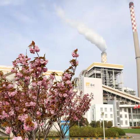 发电部成功组织一期全厂停电反事故桌面推演