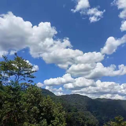 四面山玩水②