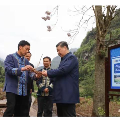 领导考察