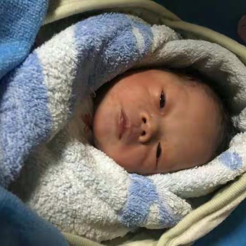 博仔的成长历程