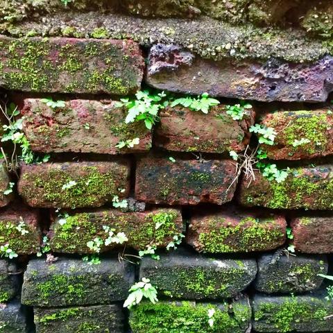 余生，我只能用沉默去告白