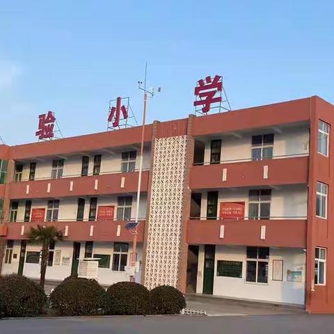 青山泉镇中心小学—停课不停学  成长不停歇