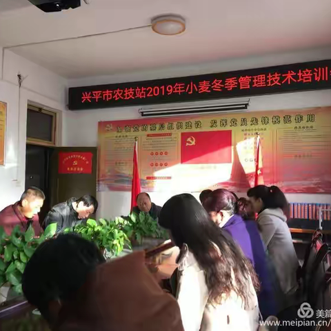 科学管理强措施，壮苗越冬保丰收