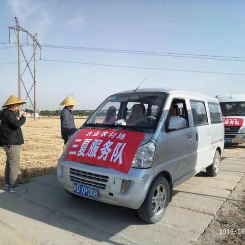 根据天气变化，抢收小麦试验
