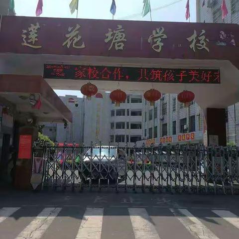 2019年295班公开课