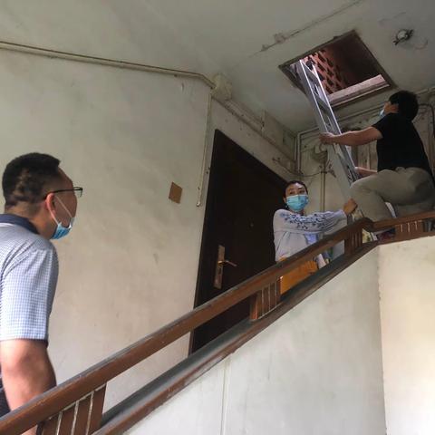 立即响应，快速办结，中央环保督办案件24小时内办结
