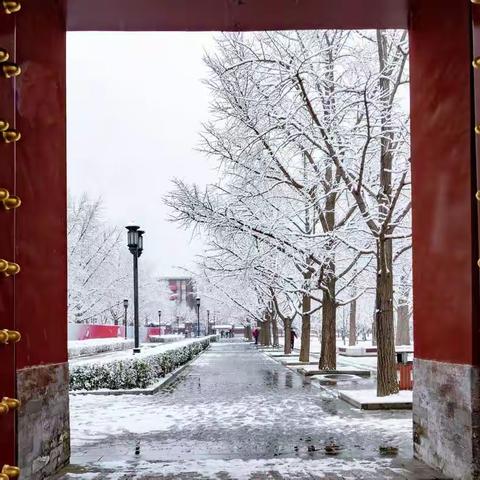 北京的春雪