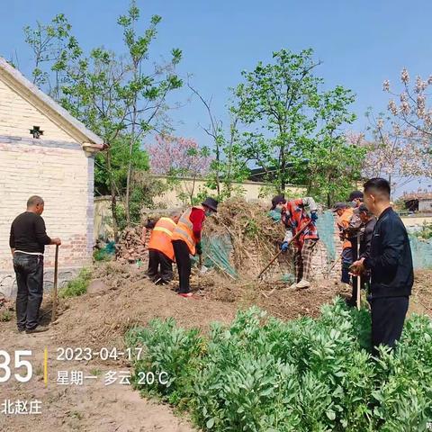 刘庄村4月17日人居环境工作日志