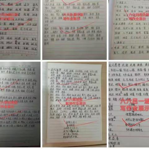 不负假期好时光，缤纷作业展风采——六年级语文寒假作业秀