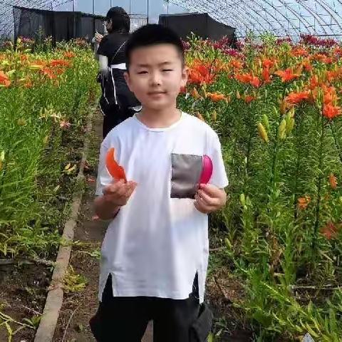 金源小学四年一班刘坤帛《姥姥家的花园》