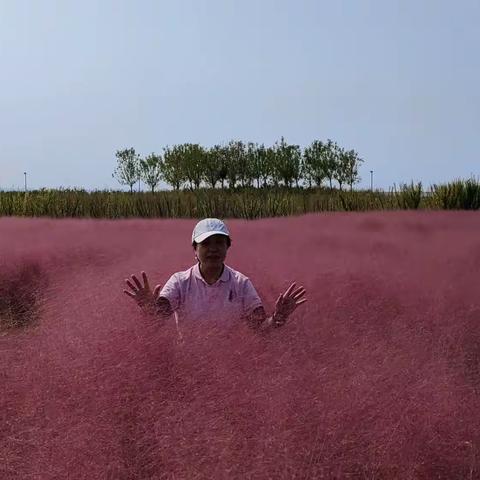 粉黛花园