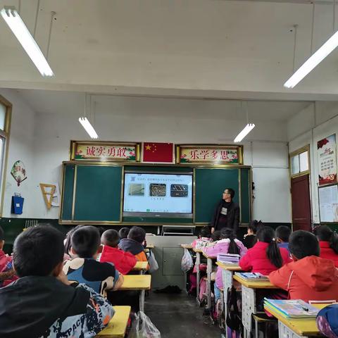高坪镇青花小学11月课改课教研活动