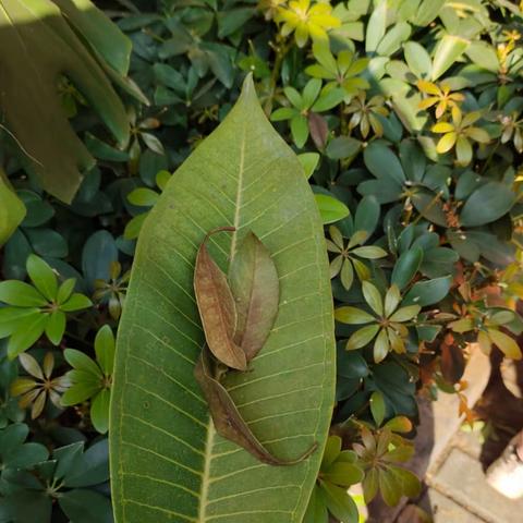 福满花园幼儿园小班第十六周活动精彩回顾