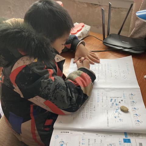 放假啦！这是我上小学的第一个寒假。虽然放假了但是妈妈给我布置的任务我可都是完成了的。该学习的时候好好学