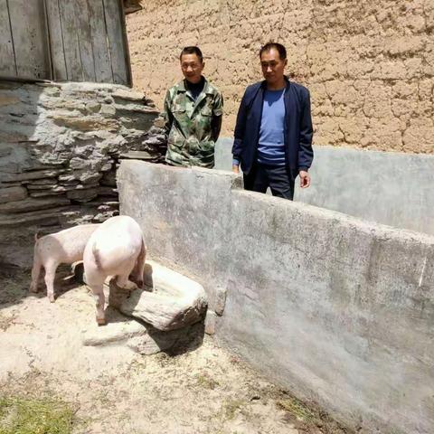 社长与农户的“面对面”