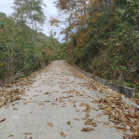 记忆中的李家坪