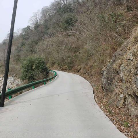 振兴乡村教育党员先行