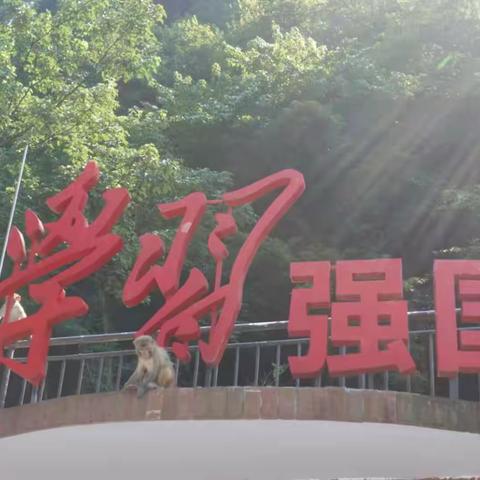 笃学尚行|研学出真知，助力旅发会