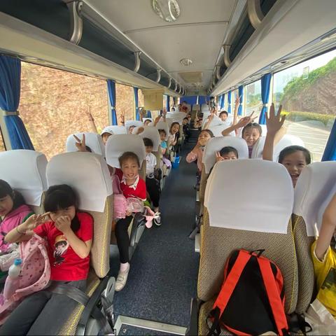 【游学研学】渝中区曾家岩小学3.1班丨花谷里的大自然