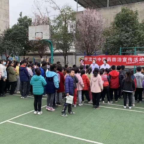 中医中药进校园、传播助力新一代