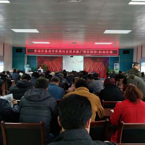 推广中医药适宜技术，提升基层医师诊疗水平