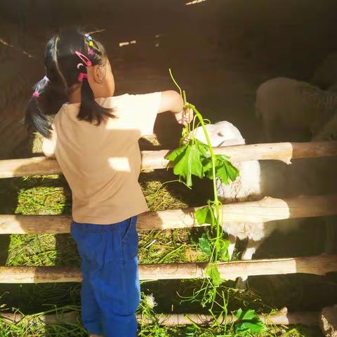 周末愉快，我的小可爱！