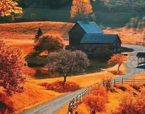 醉秋，美极了！