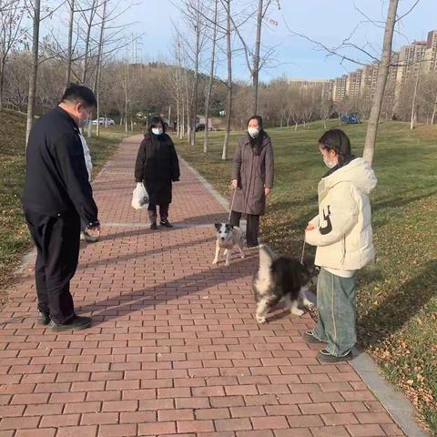 文明养犬，人人有责