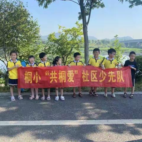 童眼观察，科学助力！—武义县少工委红领巾小站长桐琴小学一(3)班蓝精灵中队之探索小队