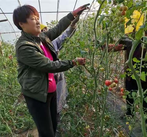 庆三八|棋山“出彩女性”风采展（一）