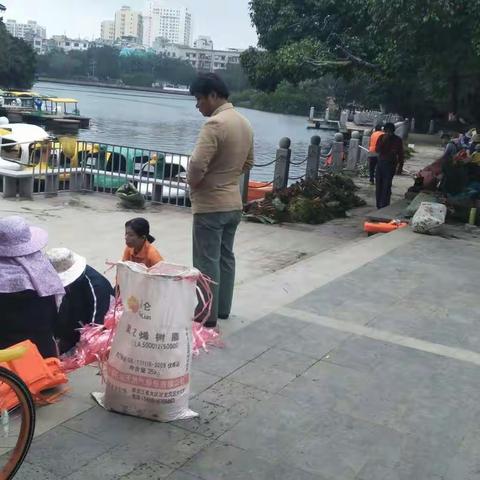龙华区三标段水体治理监理日志（2017年12月15日下午）