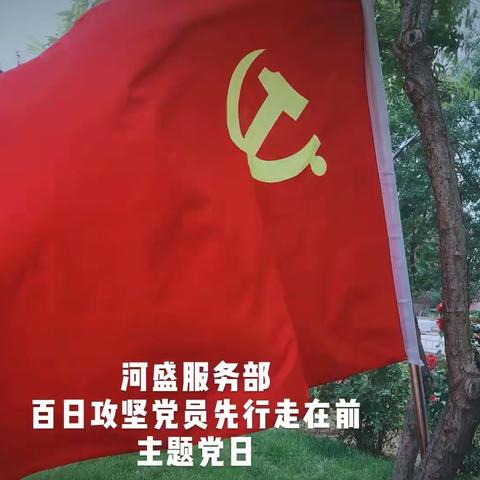 河盛服务部: 召开“百日攻坚,党员先行走在前”主题党日活动