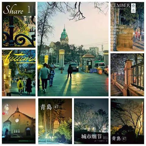 回顾我的2019年（中）