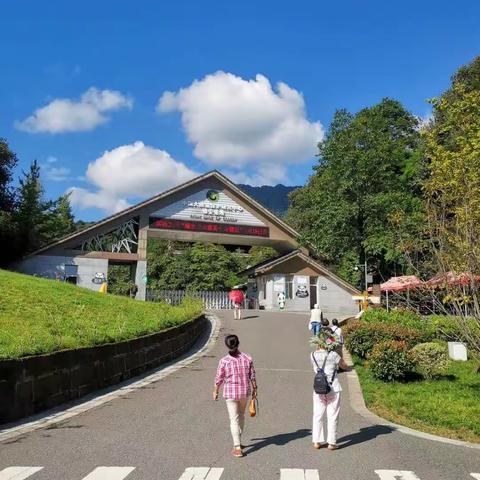 川西自由行②雅安碧峰峡一日游