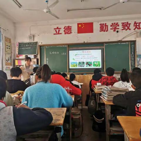 坪上学区开放周展示——初中语文篇