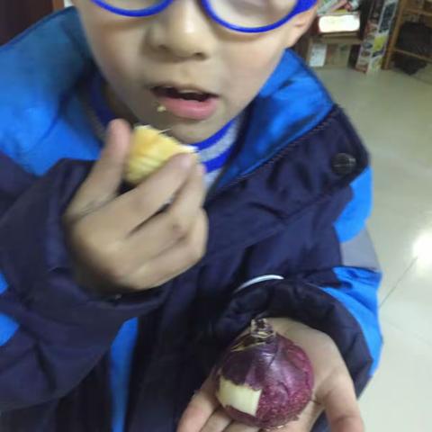 吴林航的水培风信子观察记录