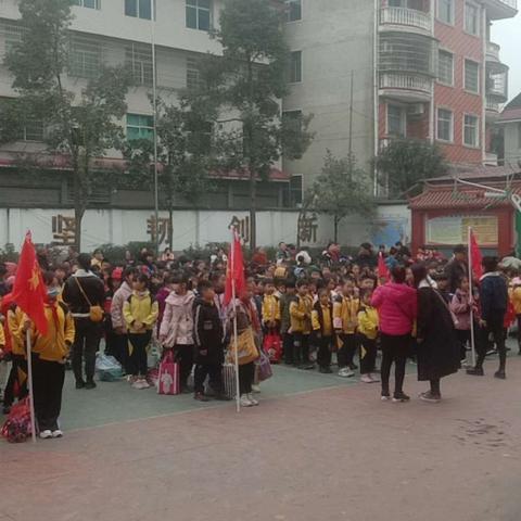 紫云完小社会实践活动