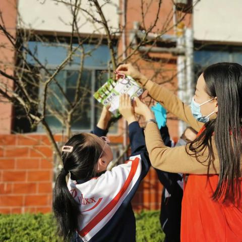 植廉于心 践廉于行||平原县龙门小学举行廉政植树活动