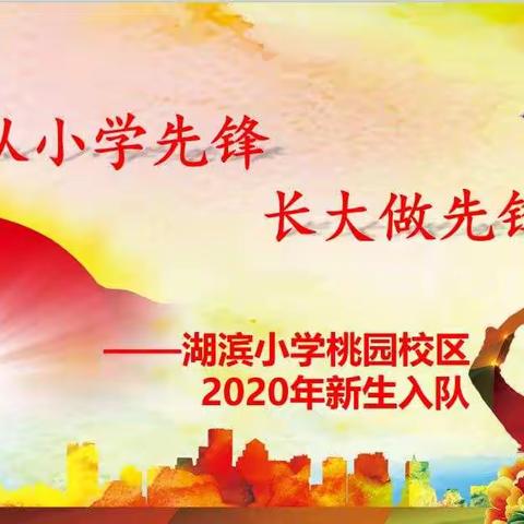 从小学先锋，长大做先锋 ——2020年湖滨小学桃园校区新生入队仪式