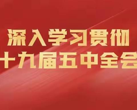 引镇街道多措并举开展党的十九届五中全会精神宣讲