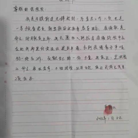 “我是党员，我先上！” ——引镇街道巾帼战士逆行而上践初心