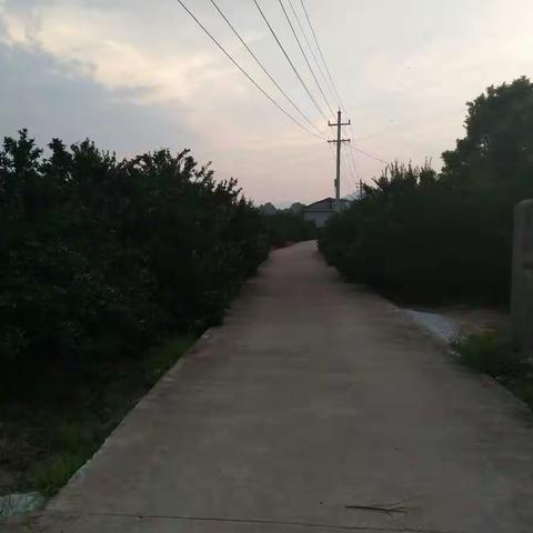 转租！转租！！！