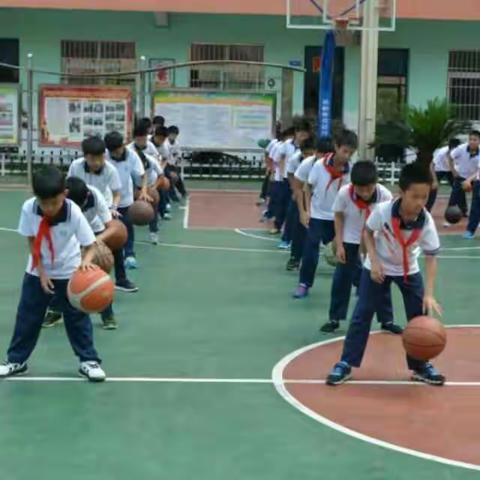 篮球小子训练营暑期开班了