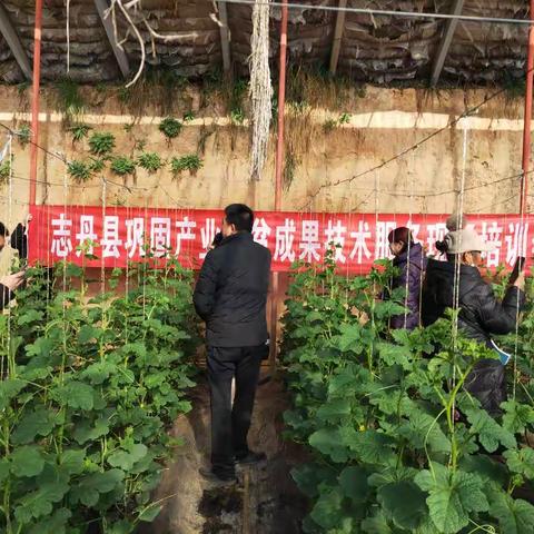 志丹县农业农村局召开巩固产业脱贫成果技术培训会