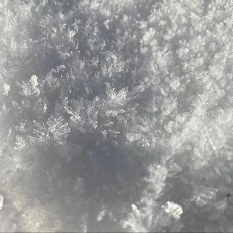 ❄️岁末冬至❄️贝乐思幼儿园小班12月精彩纷呈